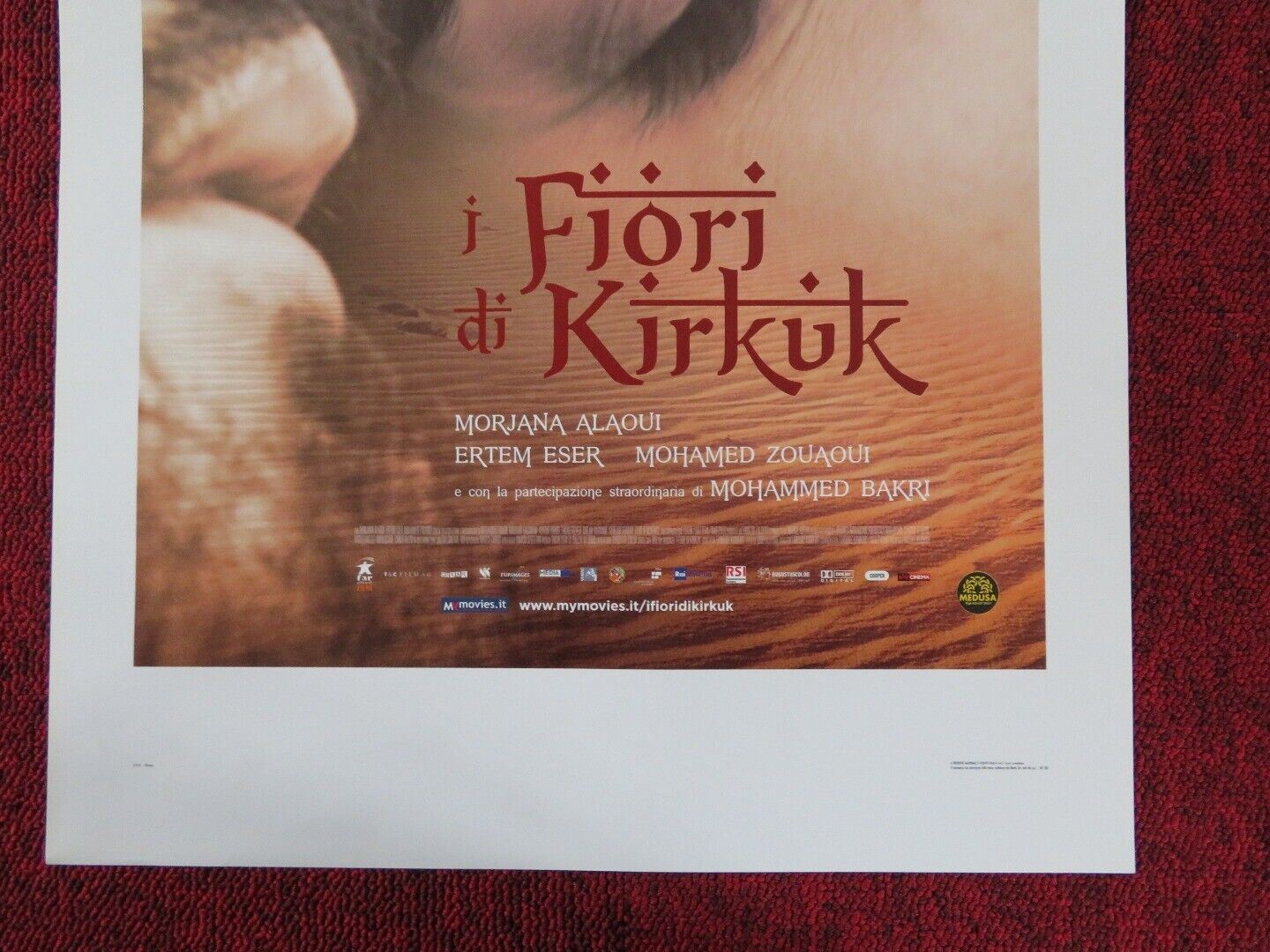THE FLOWERS OF KIRKUK ITALIAN LOCANDINA (27.5"x13") POSTER ERTEM ESER 2010 Movie posters