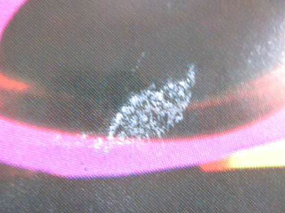 THE FORBIDDEN DANCE ITALIAN 2 FOGLIO POSTER LAURA HARRING JEFF JAMES 1990 Rendezvous Cinema Movie posters