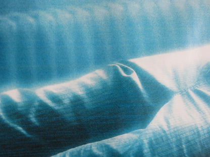 THE FOURTH KIND UK QUAD (30"x 40") ROLLED POSTER MILLA JOVOVICH WILL PATTON 2009 Rendezvous Cinema Movie posters