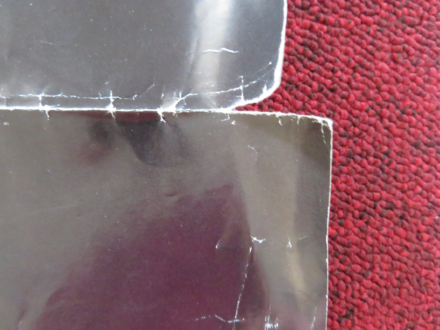 THE FRESHMAN UK QUAD ROLLED POSTER MATTHEW BRODERICK MARLON BRANDO 1990 Rendezvous Cinema Movie posters