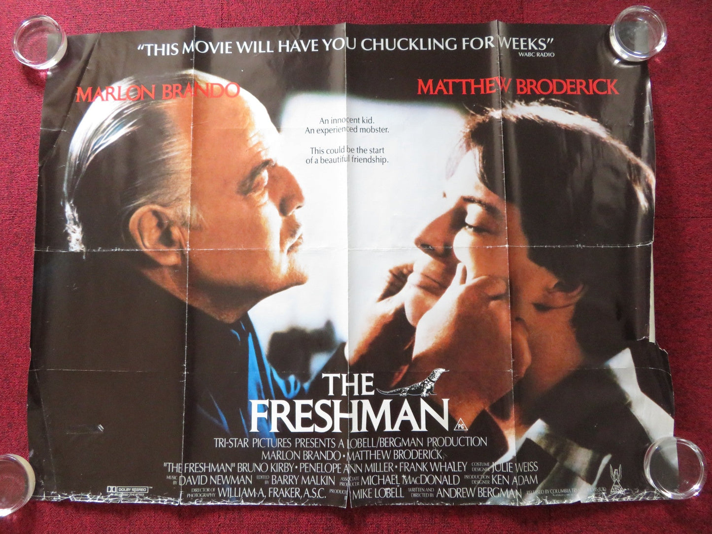 THE FRESHMAN UK QUAD ROLLED POSTER MATTHEW BRODERICK MARLON BRANDO 1990 Rendezvous Cinema Movie posters