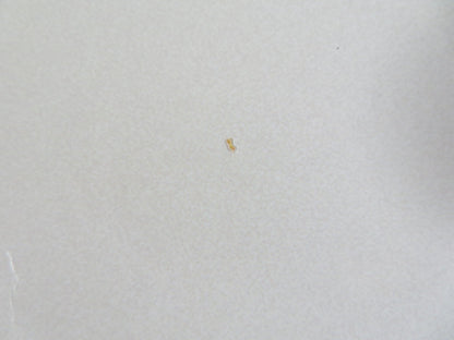 THE FRIGHTENERS FOLDED US ONE SHEET POSTER MICHAEL J.FOX TRINI ALUARADO 1996 Rendezvous Cinema Movie posters