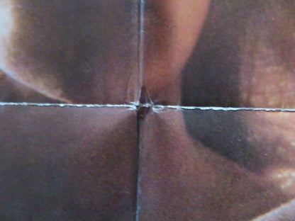 THE FURY FOLDED US ONE SHEET POSTER KIRK DOUGLAS JOHN CASSAVETES 1978 Movie posters