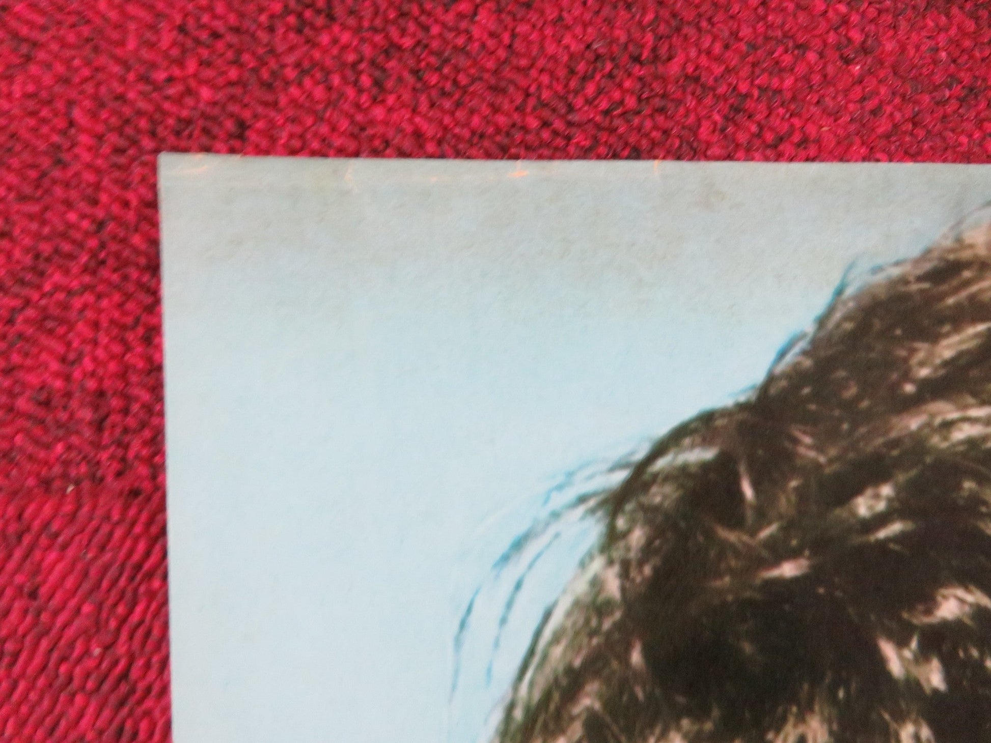 THE GAMBLERS - A ITALIAN FOTOBUSTA POSTER DON GORDON SUZY KENDALL 1970 Rendezvous Cinema Movie posters