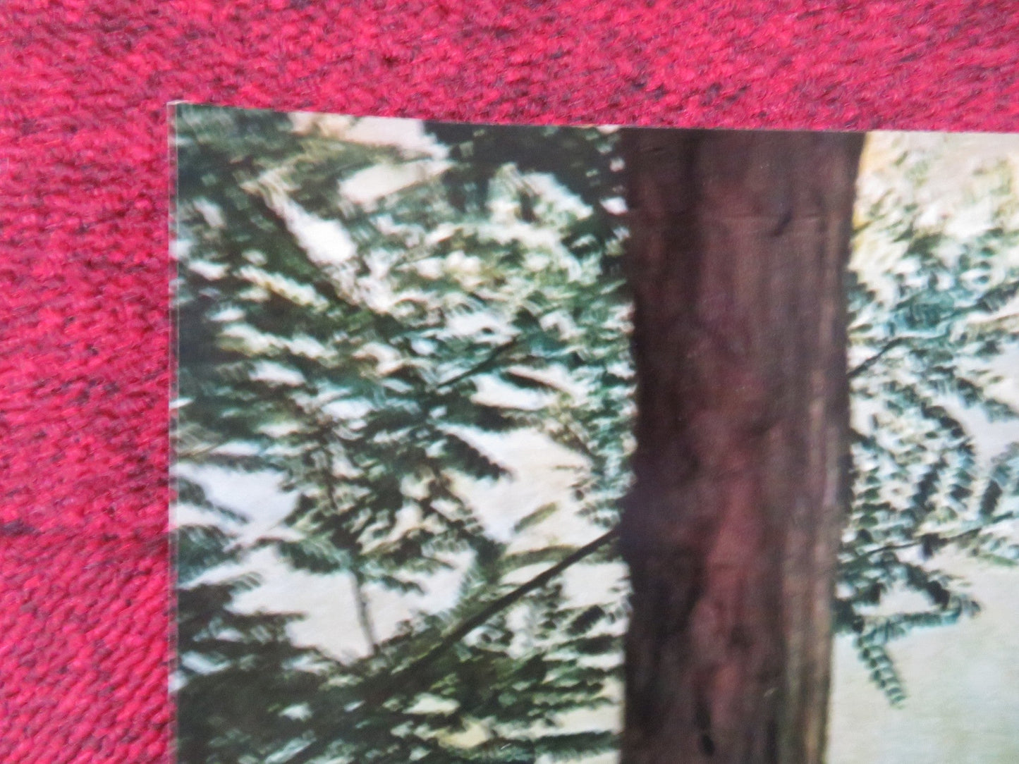 THE GAMBLERS - F ITALIAN FOTOBUSTA POSTER DON GORDON SUZY KENDALL 1970 Rendezvous Cinema Movie posters