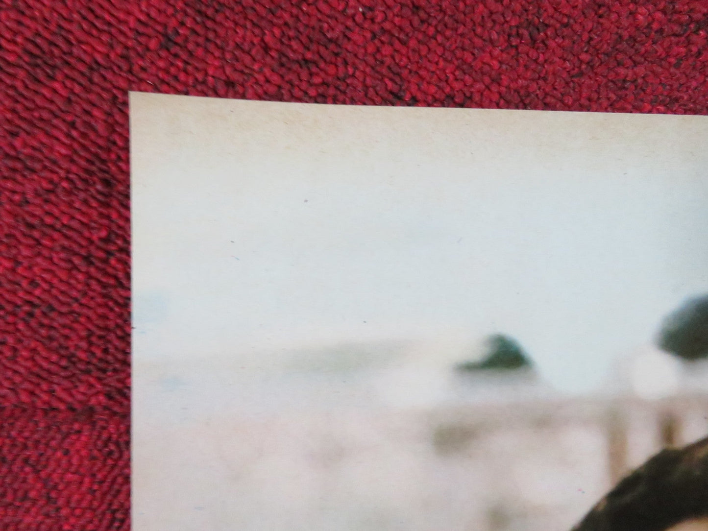 THE GAMBLERS - H ITALIAN FOTOBUSTA POSTER DON GORDON SUZY KENDALL 1970 Rendezvous Cinema Movie posters