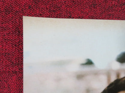 THE GAMBLERS - H ITALIAN FOTOBUSTA POSTER DON GORDON SUZY KENDALL 1970 Rendezvous Cinema Movie posters