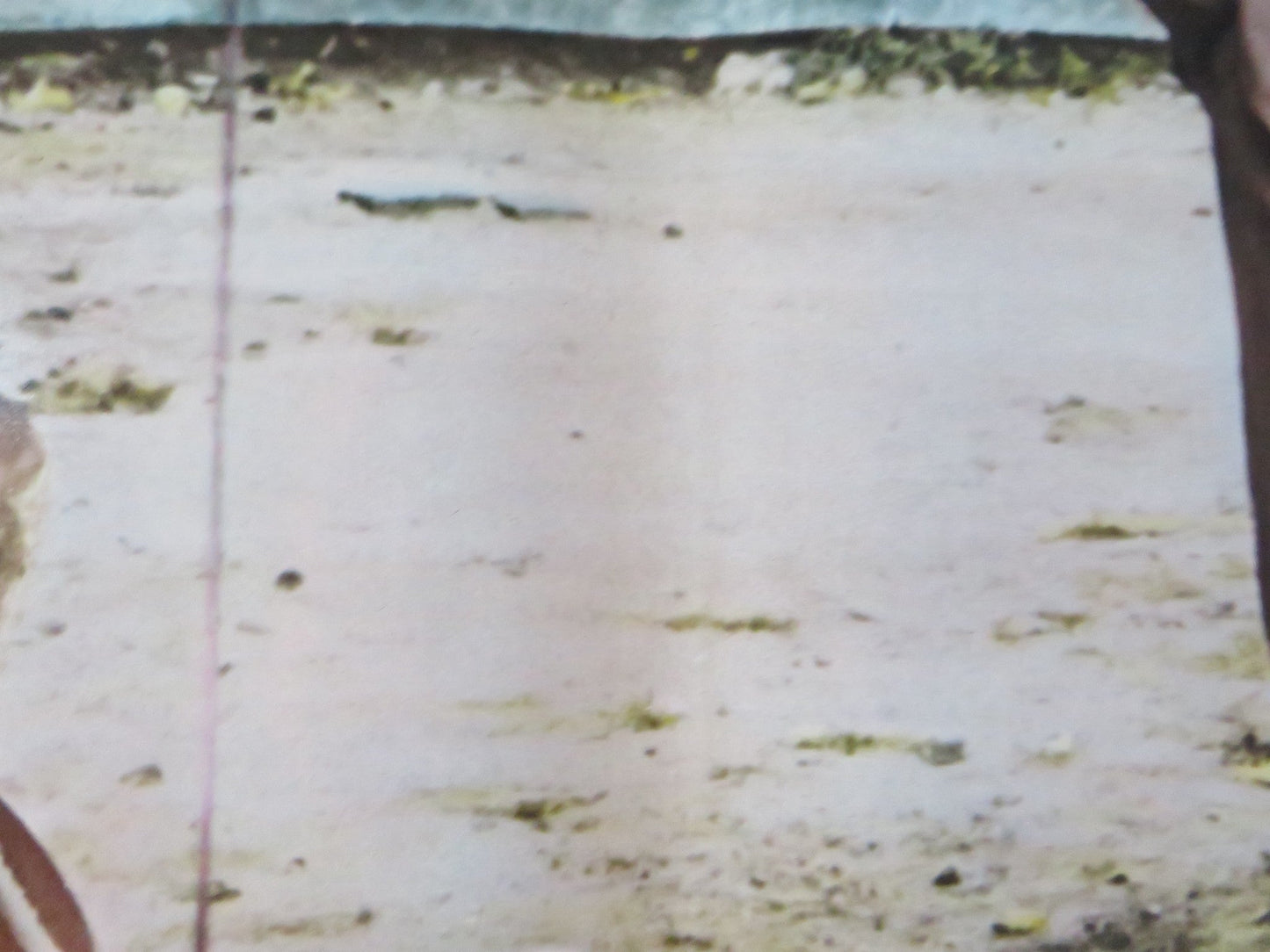 THE GAMBLERS - I ITALIAN FOTOBUSTA POSTER DON GORDON SUZY KENDALL 1970 Rendezvous Cinema Movie posters