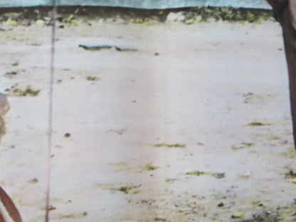 THE GAMBLERS - I ITALIAN FOTOBUSTA POSTER DON GORDON SUZY KENDALL 1970 Rendezvous Cinema Movie posters