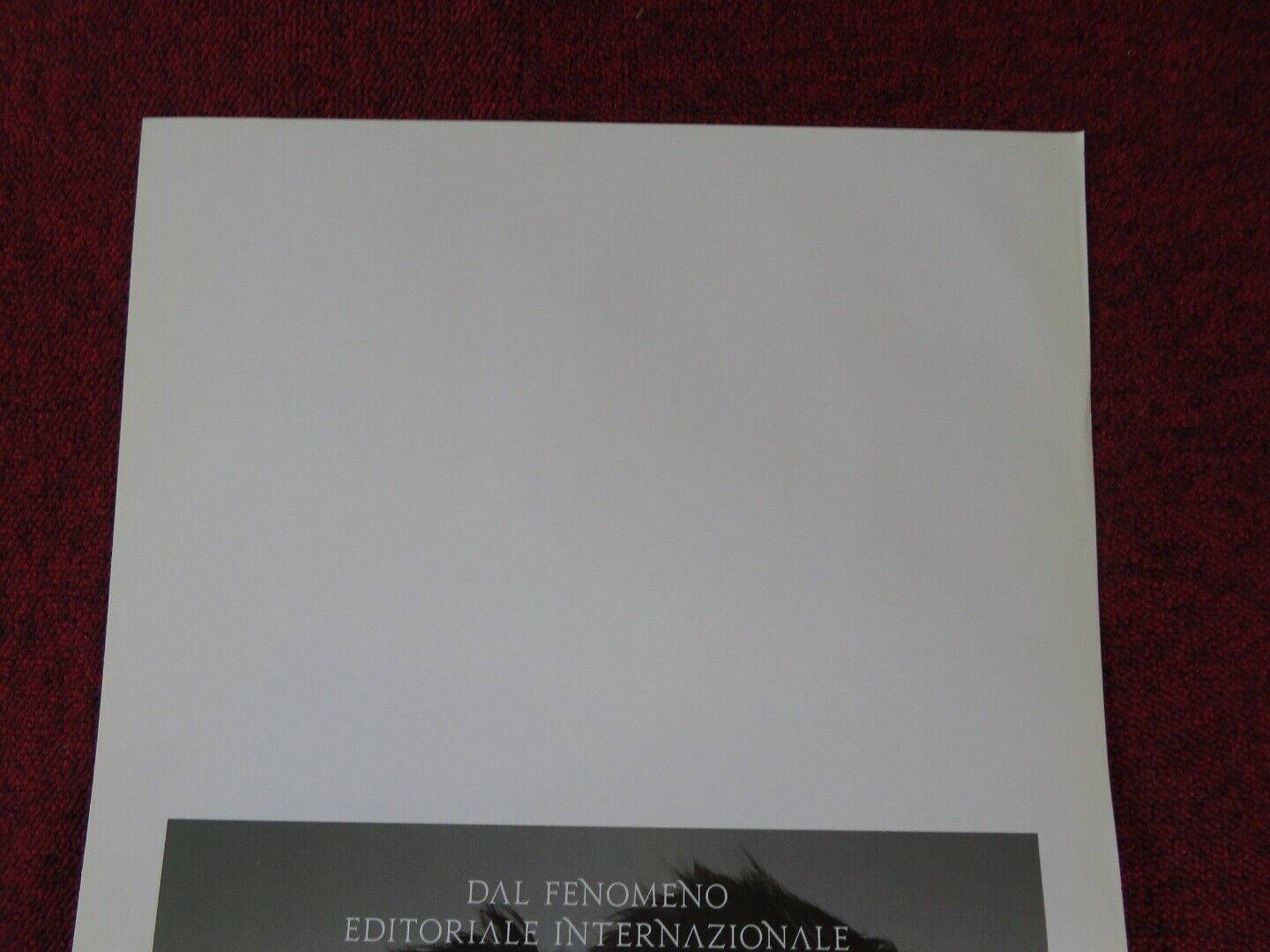 THE GIRL WITH THE DRAGON TATTOO ITALIAN LOCANDINA (27.5"x13") POSTER 2011 Movie posters