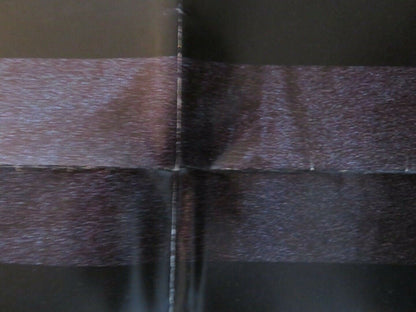 THE GLASS SHIELD FOLDED US ONE SHEET POSTER ERICH ANDERSON RICHARD ANDERSON 1994 Movie posters