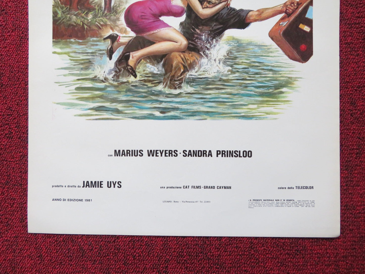 THE GODS MUST BE CRAZY - B ITALIAN LOCANDINA POSTER MARIUS WEYERS 1980 Rendezvous Cinema Movie posters