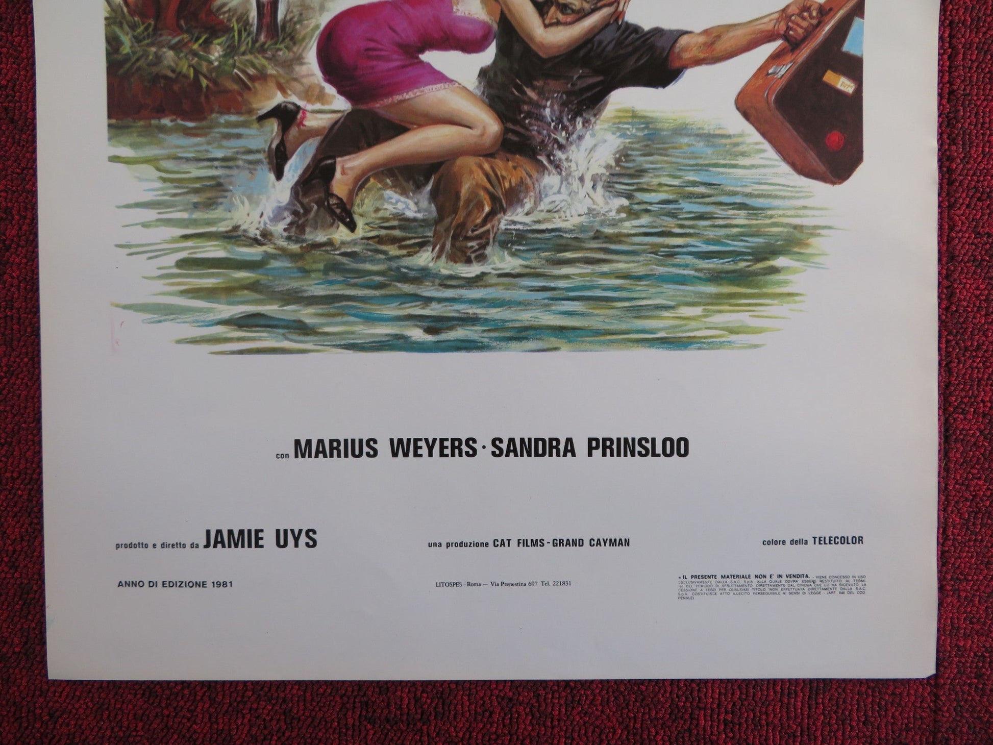 THE GODS MUST BE CRAZY ITALIAN LOCANDINA POSTER MARIUS WEYERS S. PRINSLOO 1981 Rendezvous Cinema Movie posters