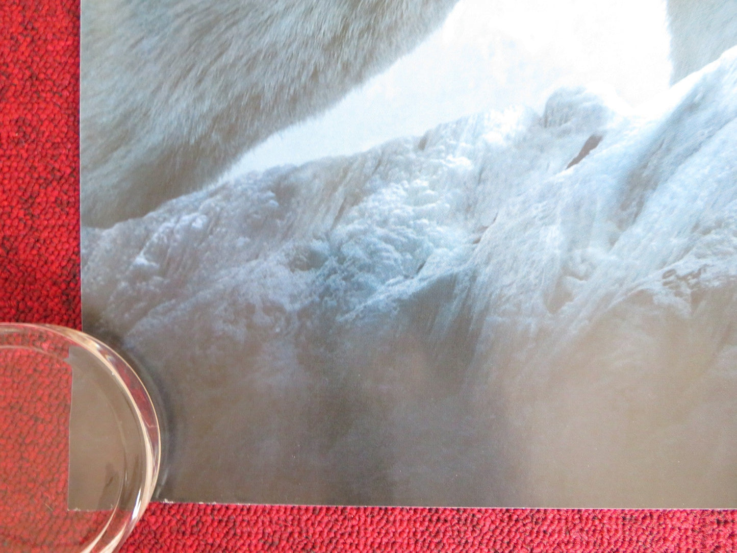 THE GOLDEN COMPASS UK QUAD ROLLED POSTER NICOLE KIDMAN DANIEL CRAIG 2007 Rendezvous Cinema Movie posters