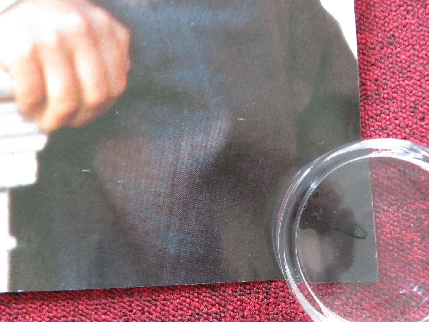 THE GRASS HARP UK QUAD (30"x 40") ROLLED POSTER TRUMAN CAPOTE (W) P. LAURIE 1995 Rendezvous Cinema Movie posters