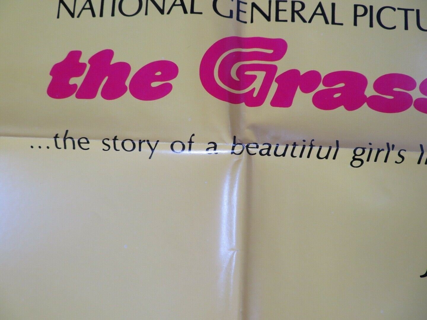 THE GRASSHOPPER US ORIGINAL 1 SHEET POSTER JAC BISSET JER PARISRETRO Movie posters