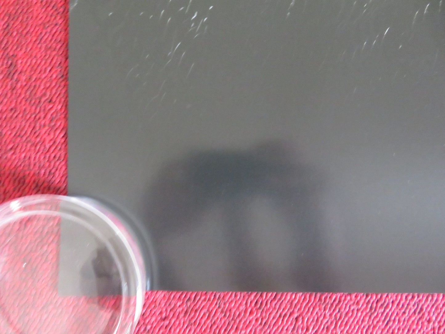 THE GREEN KNIGHT US ONE SHEET ROLLED POSTER ANAIS RIZZO JOE ANDERSON 2021 Rendezvous Cinema Movie posters