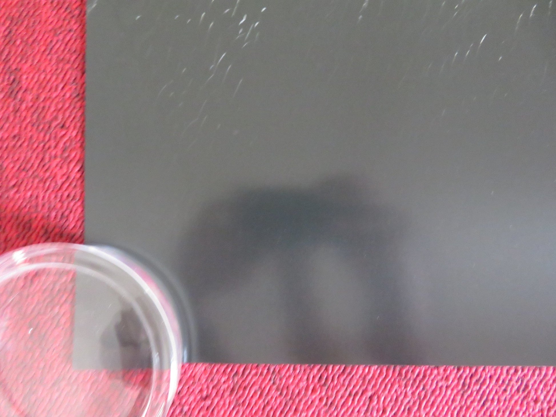 THE GREEN KNIGHT US ONE SHEET ROLLED POSTER ANAIS RIZZO JOE ANDERSON 2021 Rendezvous Cinema Movie posters