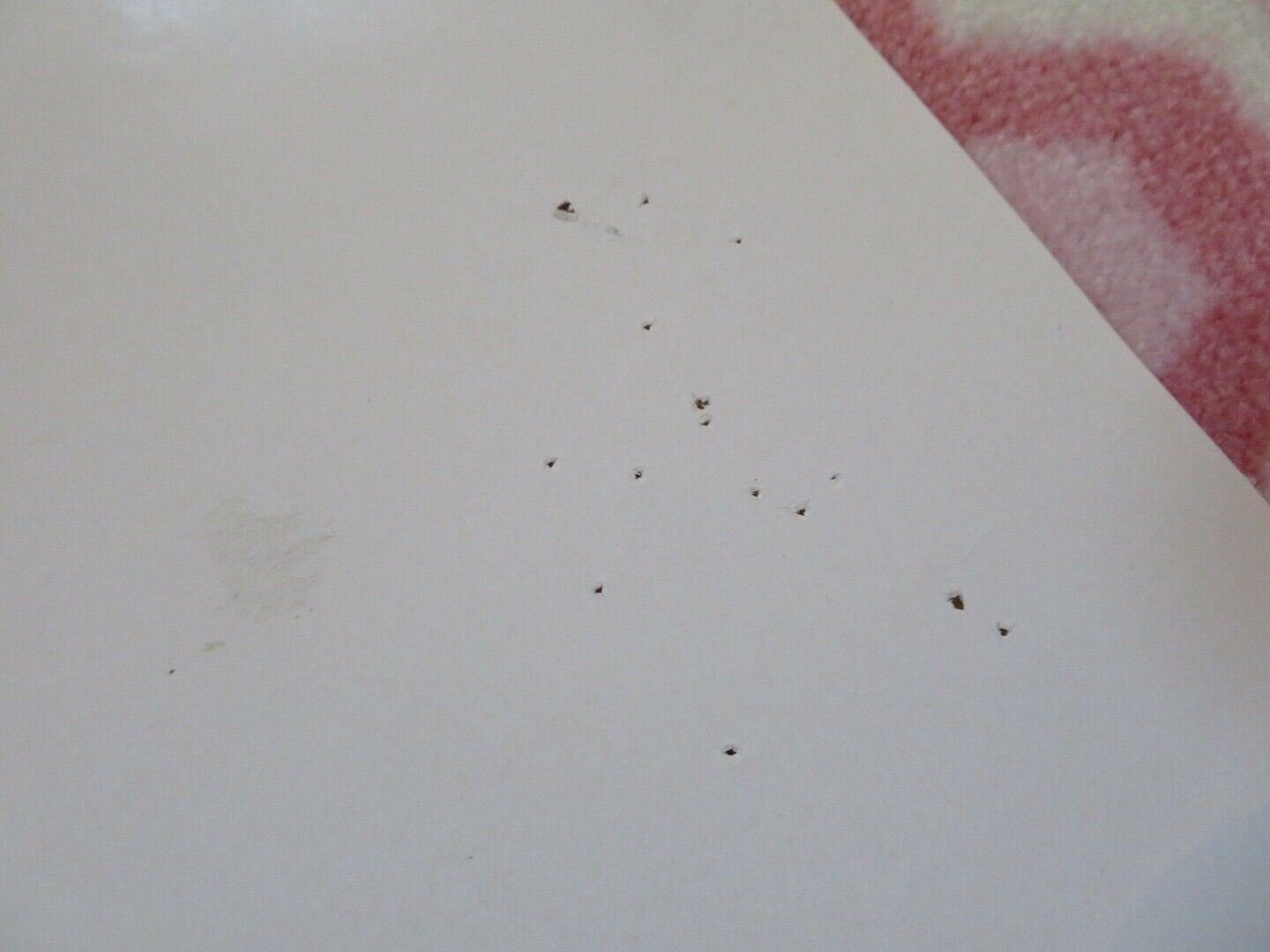 THE GREEN MILE ITALIAN LOCANDINA (27.5"x13") POSTER TOM HANKS 2000 Movie posters