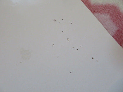 THE GREEN MILE ITALIAN LOCANDINA (27.5"x13") POSTER TOM HANKS 2000 Movie posters