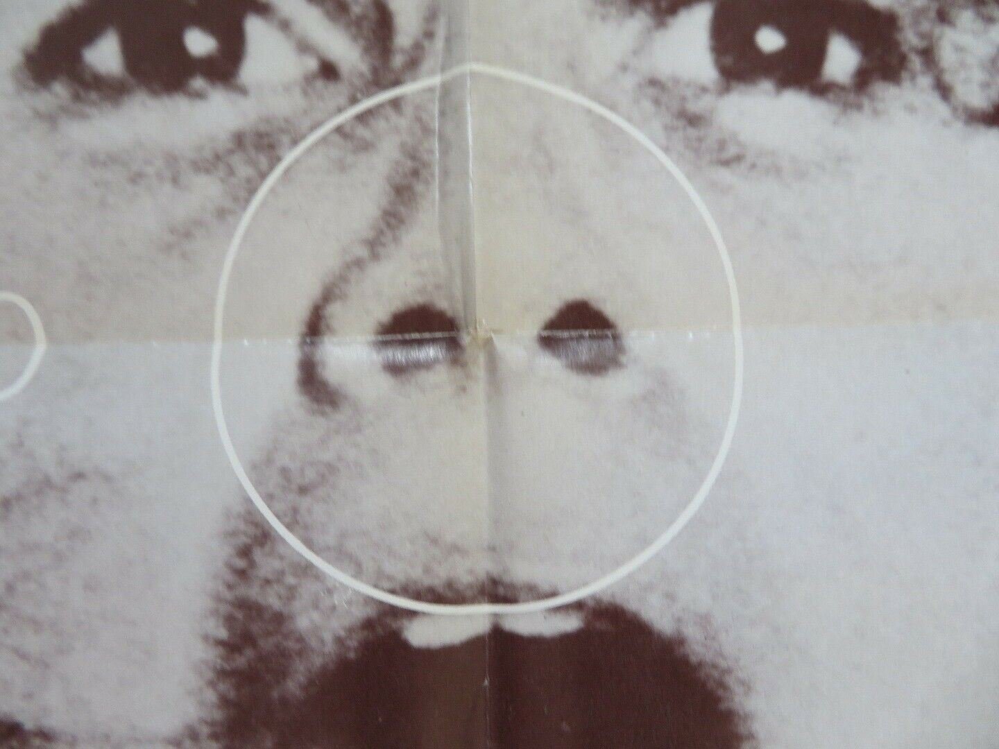 THE GRISSOM GANG US ONE SHEET POSTER KIM DARBY SCOTT WILSON 1971 Movie posters