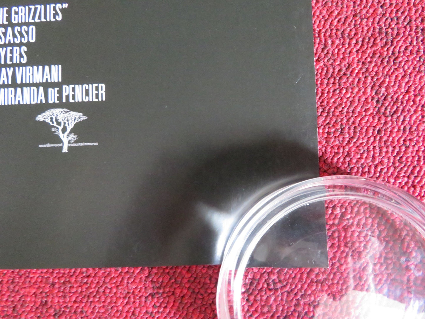 THE GRIZZLIES US ONE SHEET ROLLED POSTER JACK ANAWAK FRED BAILEY 2018 Rendezvous Cinema Movie posters