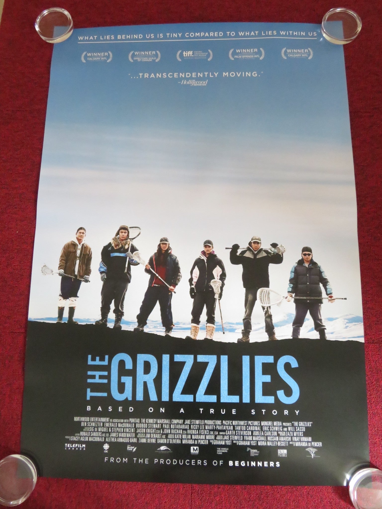 THE GRIZZLIES US ONE SHEET ROLLED POSTER JACK ANAWAK FRED BAILEY 2018 Rendezvous Cinema Movie posters