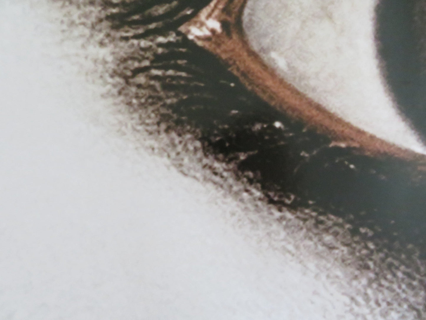 THE GRUDGE 2 UK QUAD (30"x 40") ROLLED POSTER SARAH MICHELLE GELLAR 2006 Rendezvous Cinema Movie posters