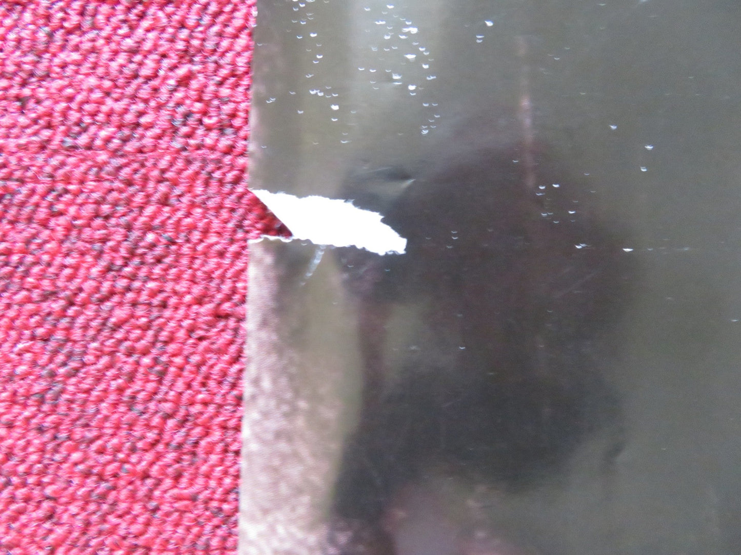 THE GRUDGE 2 UK QUAD (30"x 40") ROLLED POSTER SARAH MICHELLE GELLAR 2006 Rendezvous Cinema Movie posters