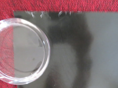 THE GRUDGE 2 UK QUAD (30"x 40") ROLLED POSTER SARAH MICHELLE GELLAR 2006 Rendezvous Cinema Movie posters