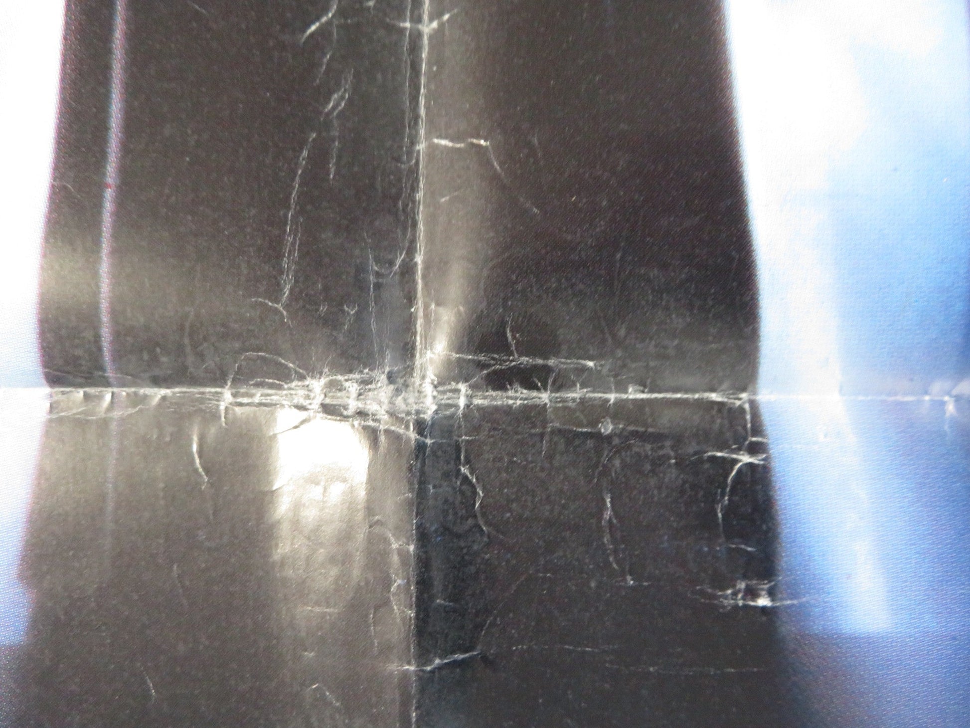 THE GUARDIAN ITALIAN FOGLIO POSTER JENNY SEAGROVE DWIER BROWN 1990 Rendezvous Cinema Movie posters