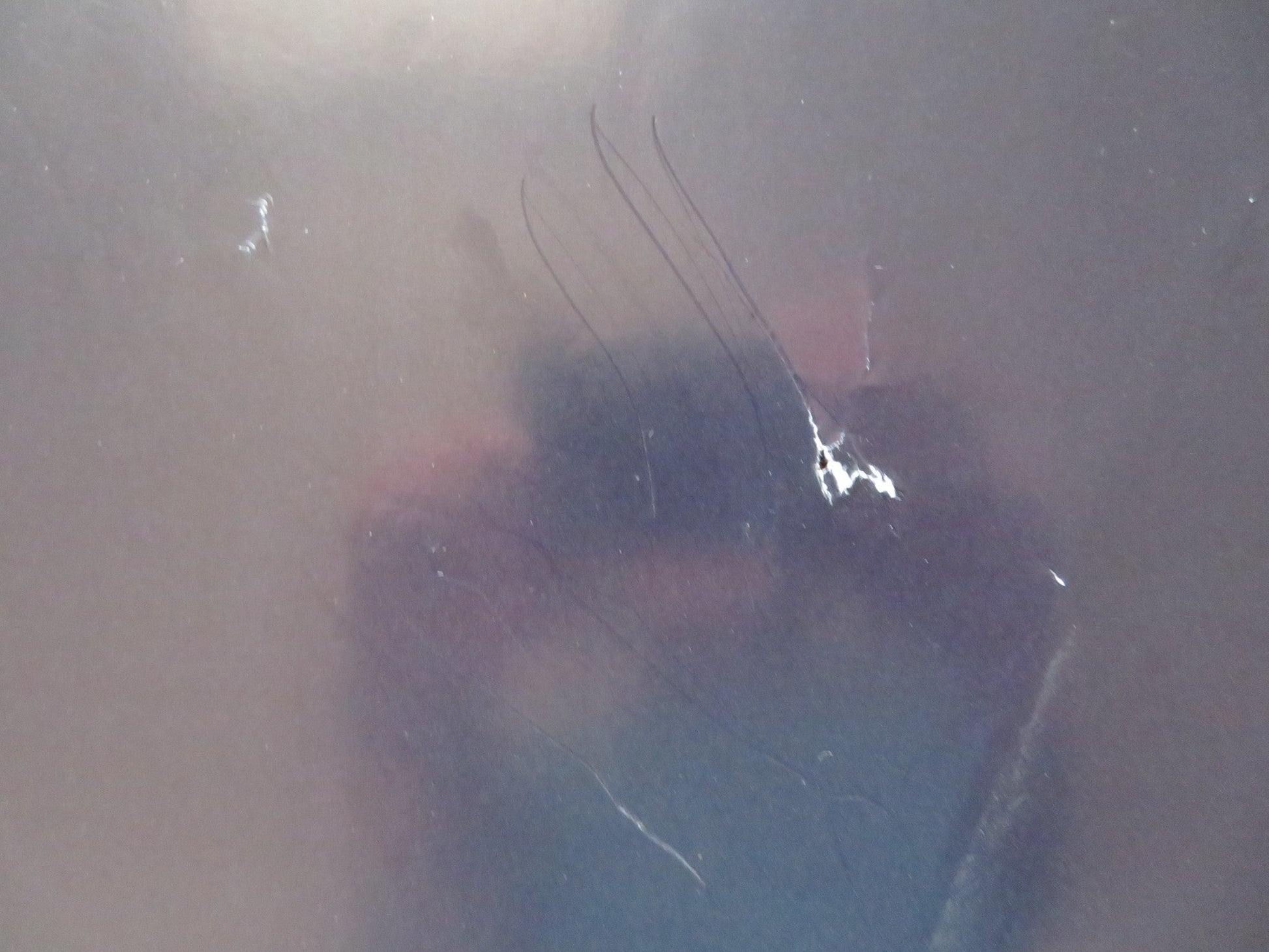 THE GUEST UK QUAD (30"x 40") ROLLED POSTER DAN STEVENS MAIKA MONROE 2014 Rendezvous Cinema Movie posters