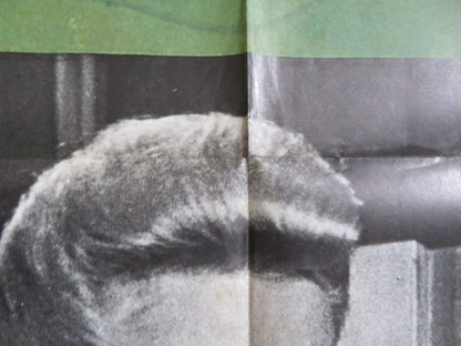 THE GYPSY MOTHS ITALIAN 2 FOGLIO POSTER BURT LANCASTER DEBORAH KERR 1969 Rendezvous Cinema Movie posters