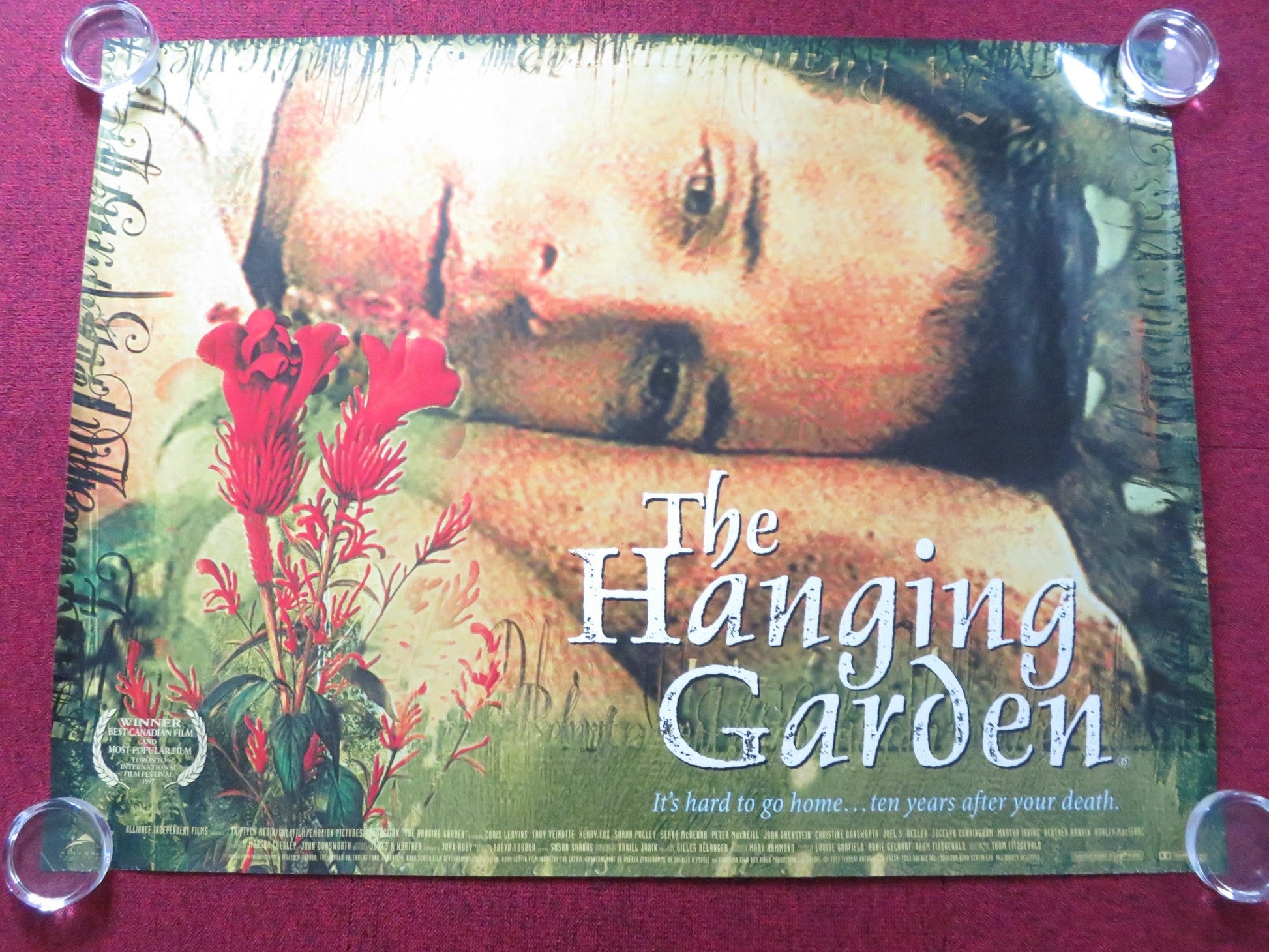 THE HANGING GARDEN UK QUAD (30"x 40") ROLLED POSTER IAN PARSONS MACNEILL 1997 Rendezvous Cinema Movie posters
