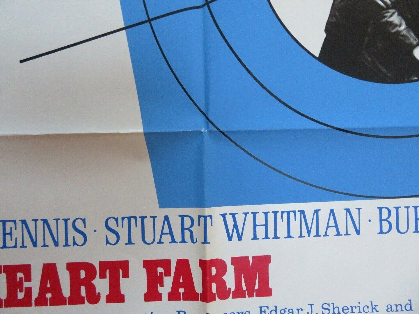 THE HEART FARM / Only Way Out Is Dead US ONE SHEET POSTER SANDY DENNIS Movie posters