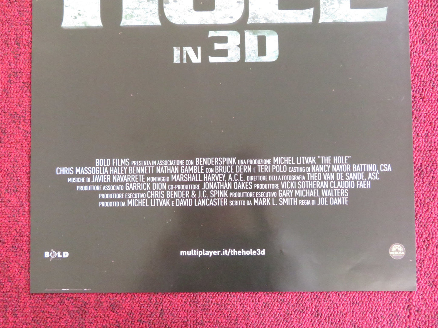 THE HOLE ITALIAN LOCANDINA POSTER CHRIS MASSOGLIA HALEY BENNETT 2009 Rendezvous Cinema Movie posters