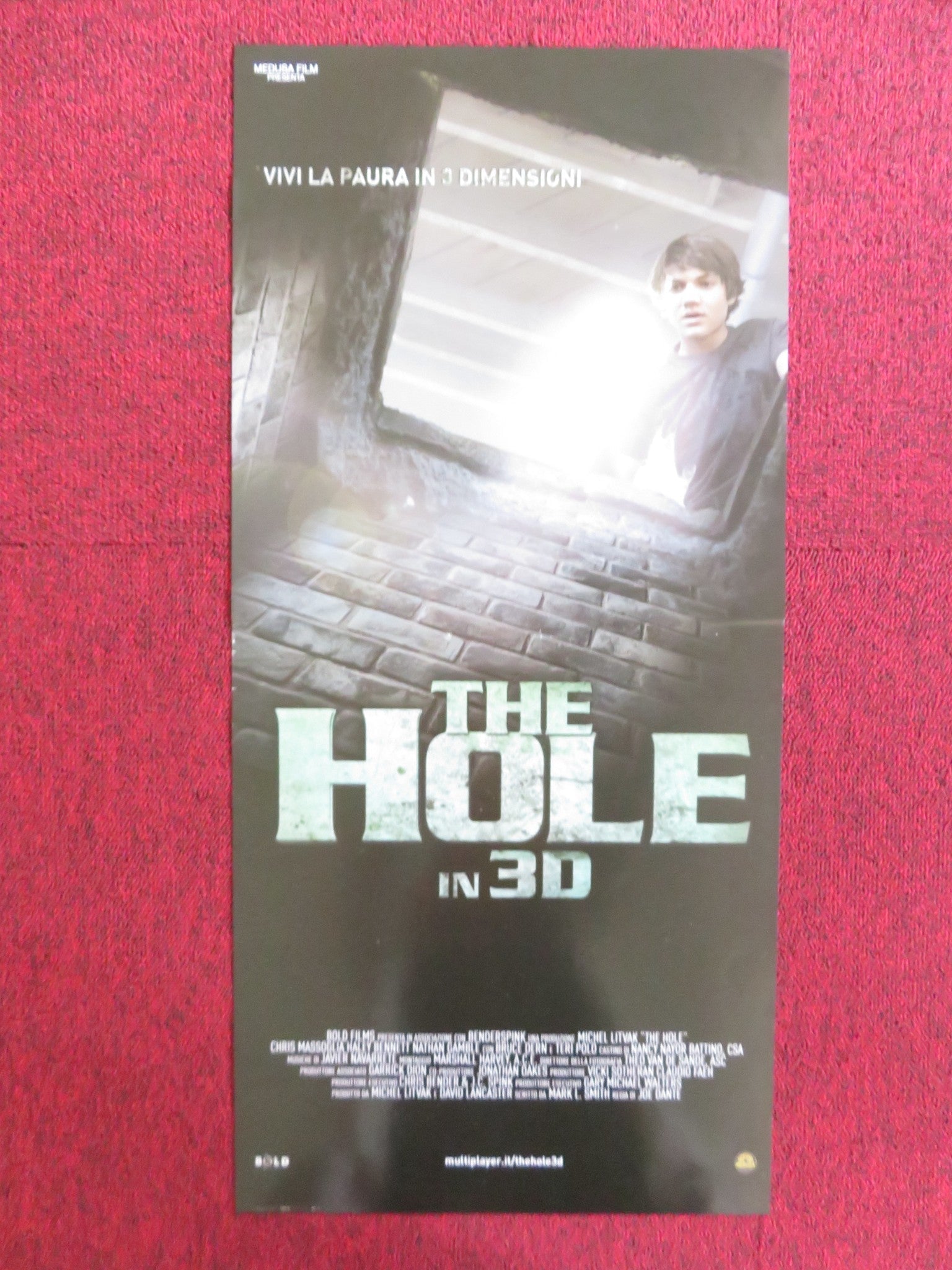 THE HOLE ITALIAN LOCANDINA POSTER CHRIS MASSOGLIA HALEY BENNETT 2009 Rendezvous Cinema Movie posters