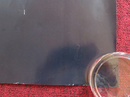 THE HOST UK QUAD (30"x 40") ROLLED POSTER SAOIRSE RONAN DIANE KRUGER 2013 Rendezvous Cinema Movie posters