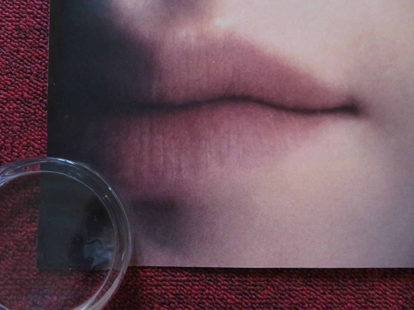 THE HOST UK QUAD (30"x 40") ROLLED POSTER SAOIRSE RONAN DIANE KRUGER 2013 Rendezvous Cinema Movie posters