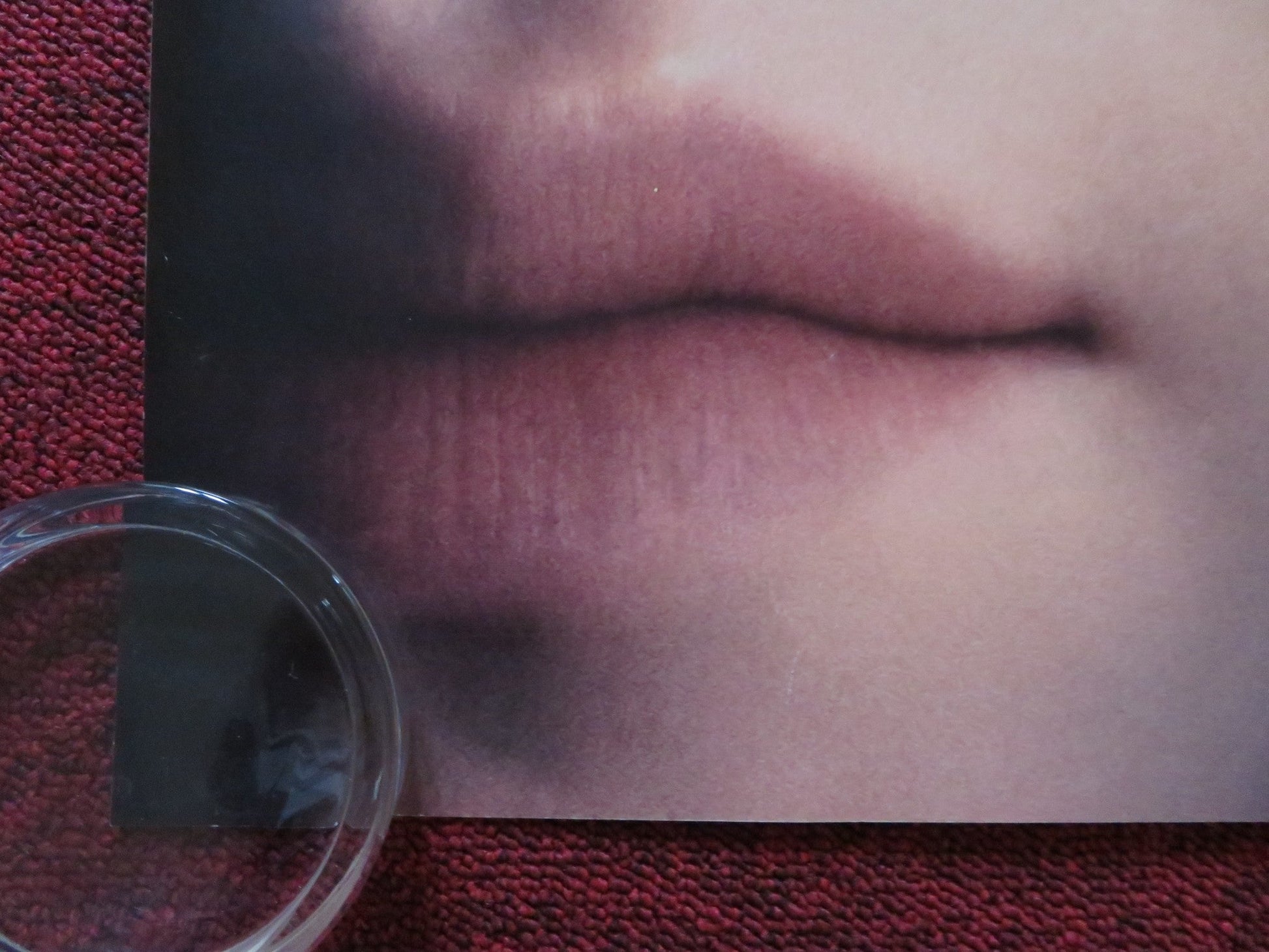 THE HOST UK QUAD (30"x 40") ROLLED POSTER SAOIRSE RONAN DIANE KRUGER 2013 Rendezvous Cinema Movie posters