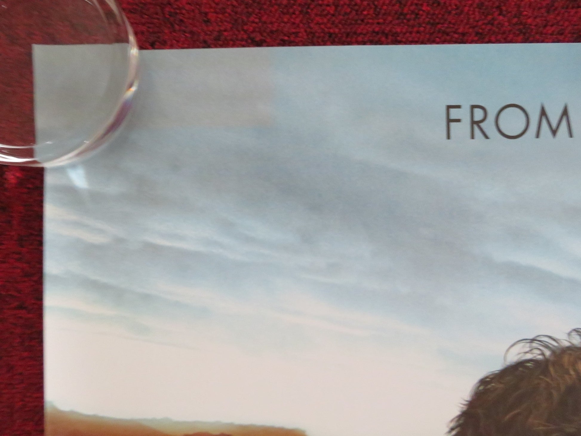 THE HOST UK QUAD (30"x 40") ROLLED POSTER SAOIRSE RONAN RACHEL ROBERTS 2013 Rendezvous Cinema Movie posters