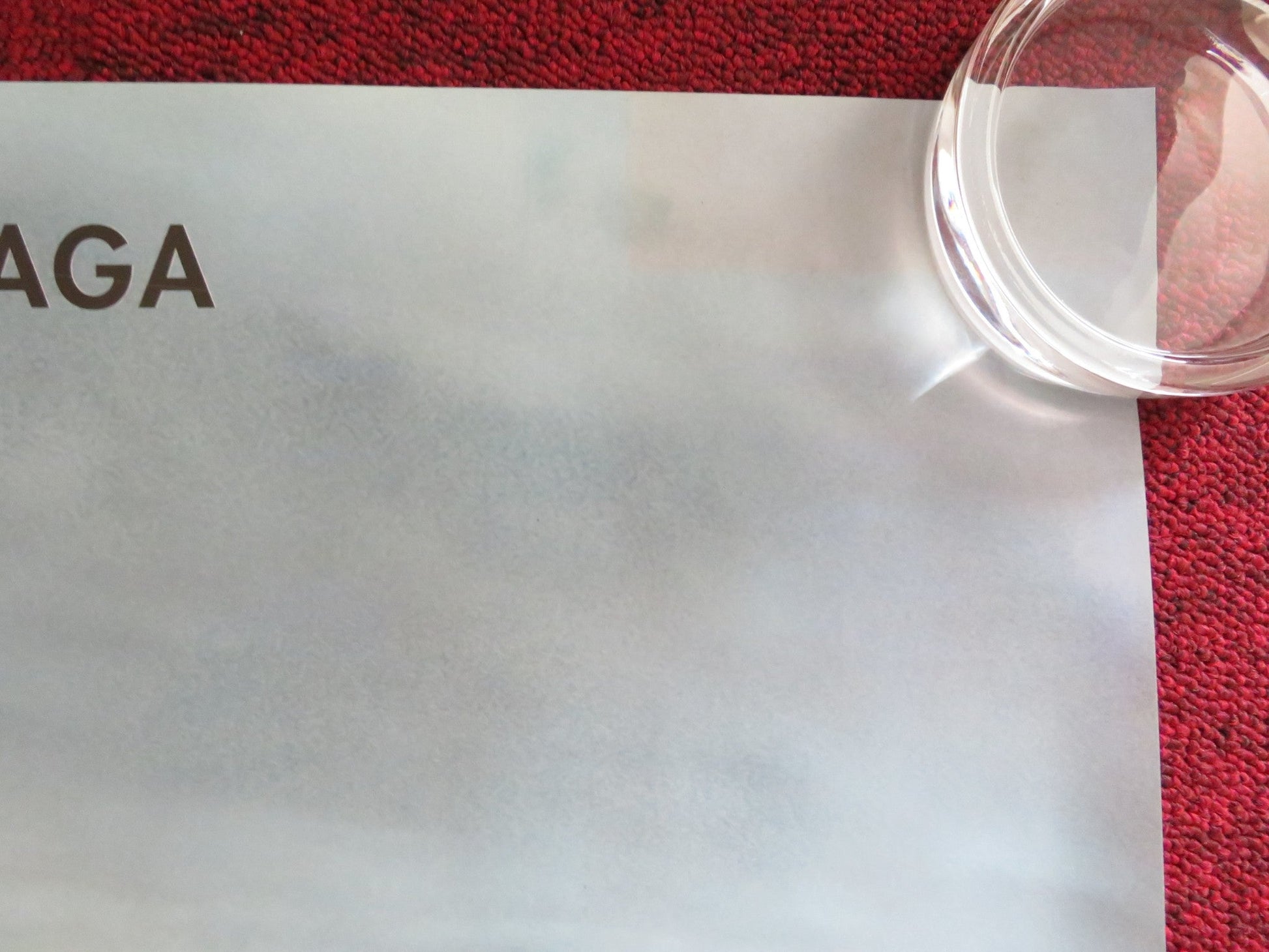 THE HOST UK QUAD (30"x 40") ROLLED POSTER SAOIRSE RONAN RACHEL ROBERTS 2013 Rendezvous Cinema Movie posters