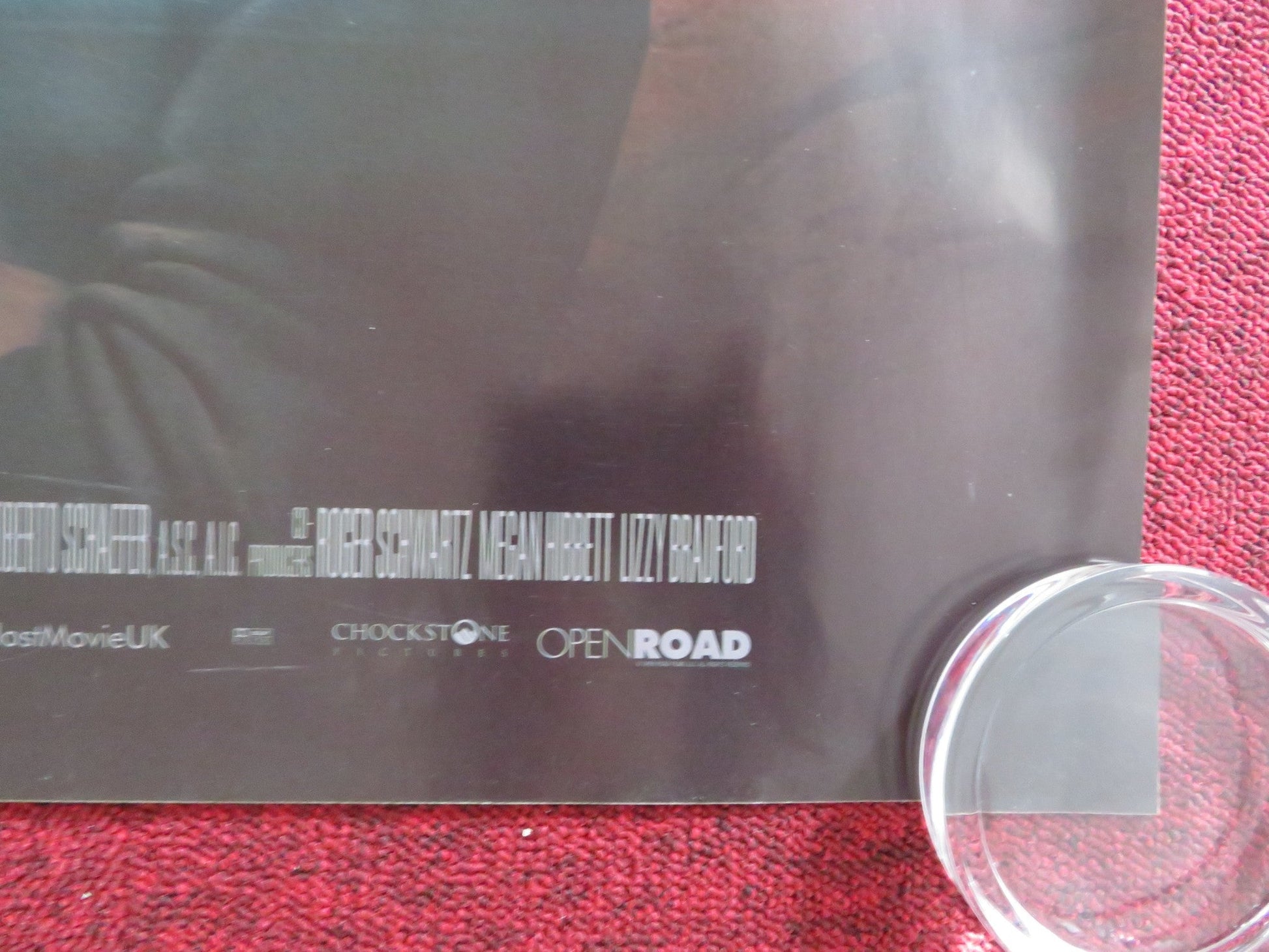 THE HOST UK QUAD (30"x 40") ROLLED POSTER SAOIRSE RONAN RACHEL ROBERTS 2013 Rendezvous Cinema Movie posters