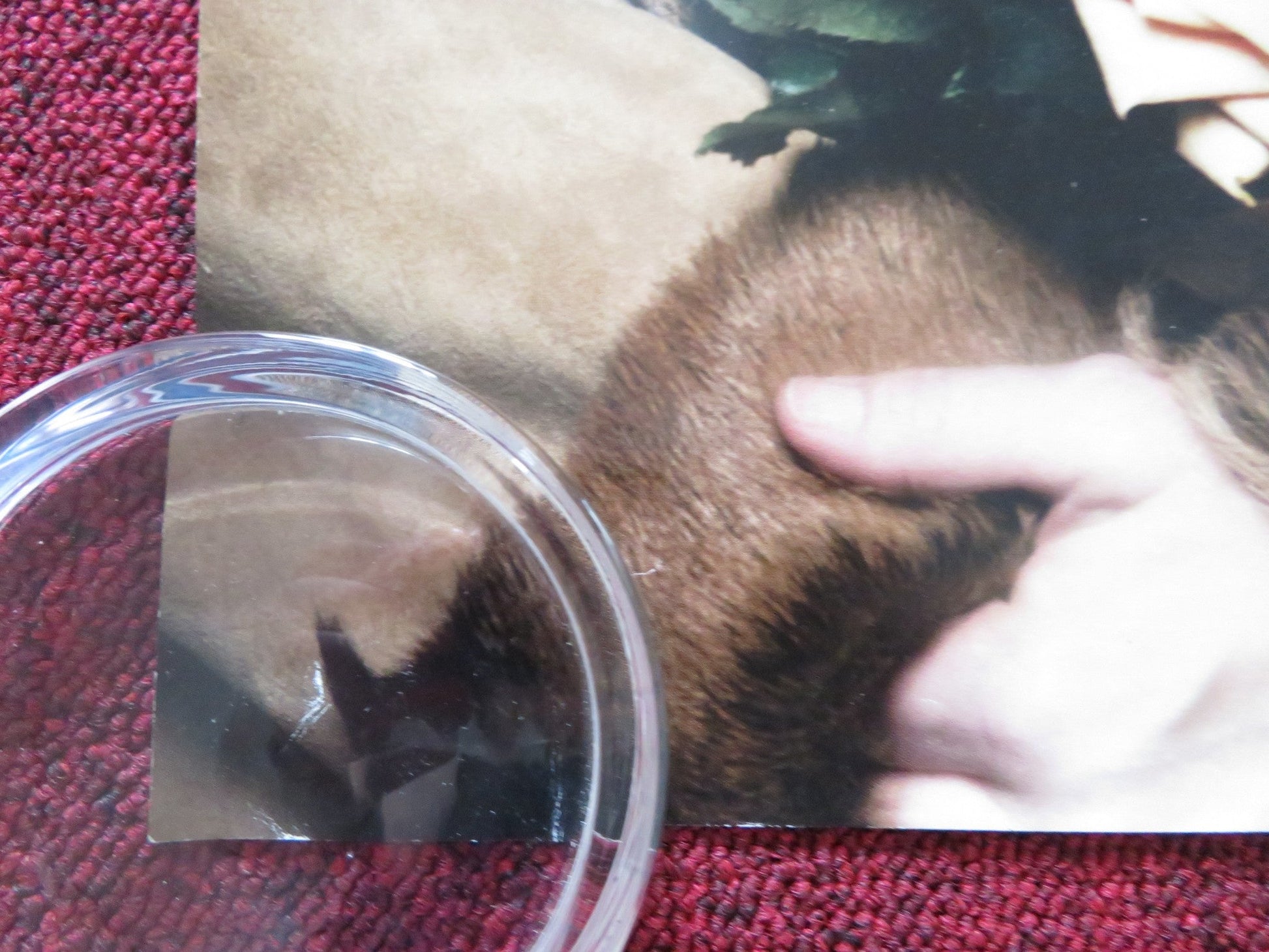 THE HOURS UK QUAD (30"x 40") ROLLED POSTER NICOLE KIDMAN MERYL STREEP 2002 Rendezvous Cinema Movie posters