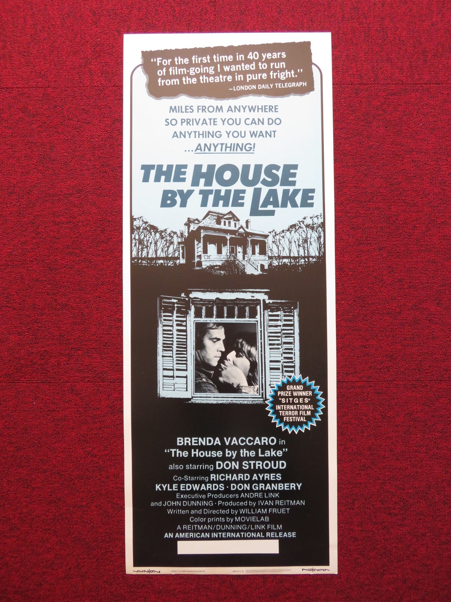 THE HOUSE BY THE LAKE US INSERT (14"x 36") POSTER BRENDA VACCARO DON STROUD 1976 Rendezvous Cinema Movie posters