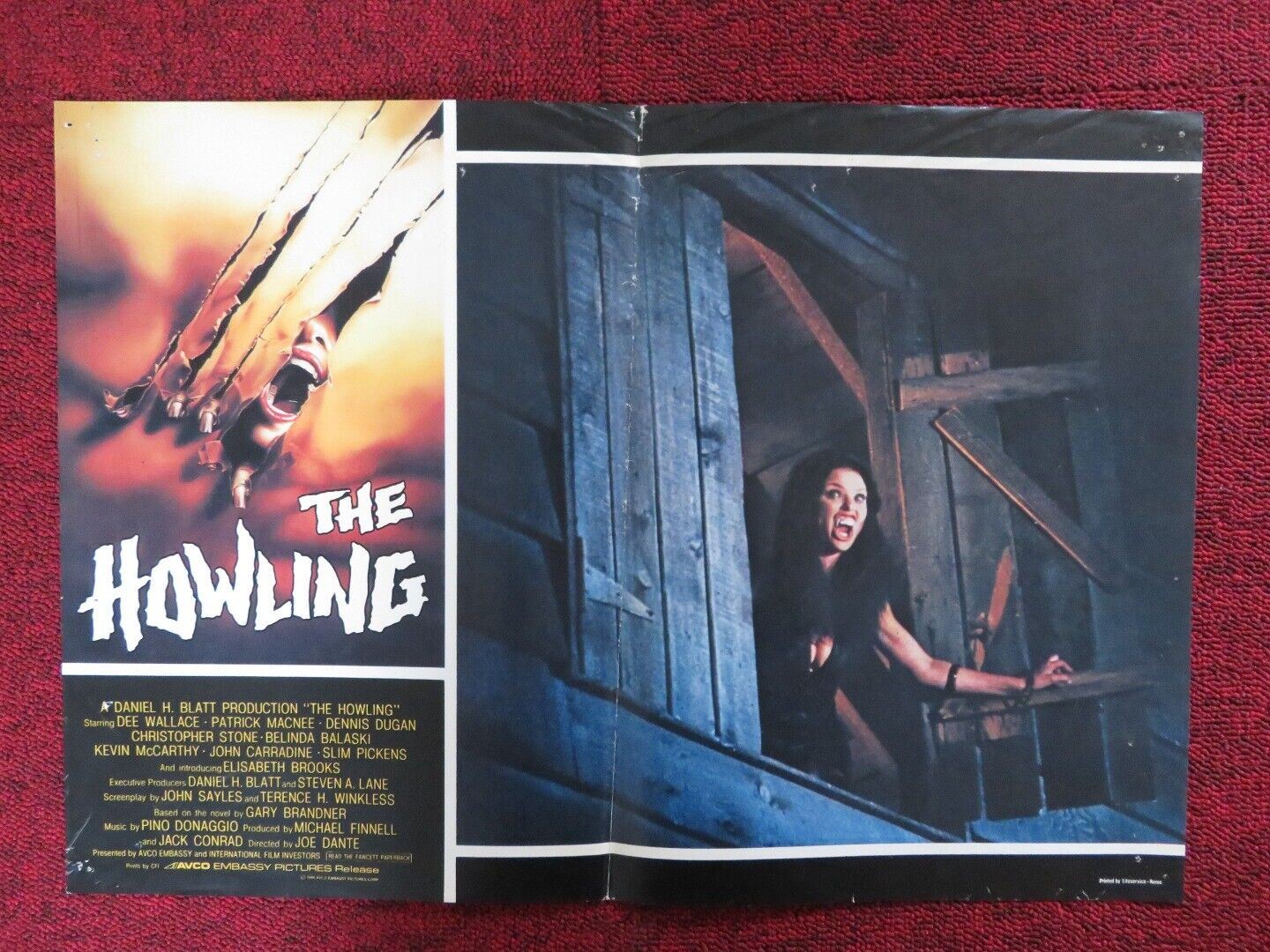 THE HOWLING - I ITALIAN FOTOBUSTA POSTER ELISABETH BROOKS 1980 Movie posters