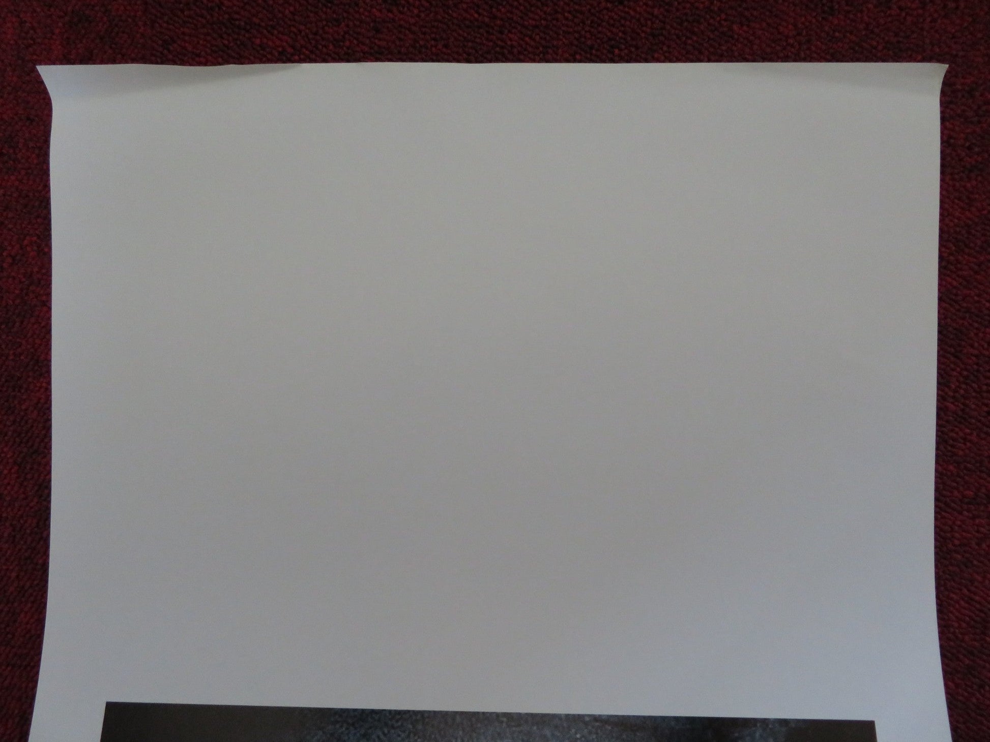 THE HYPNOTIST ITALIAN LOCANDINA POSTER TOBIAS ZILLIACUS LENA OLIN 2012 Rendezvous Cinema Movie posters