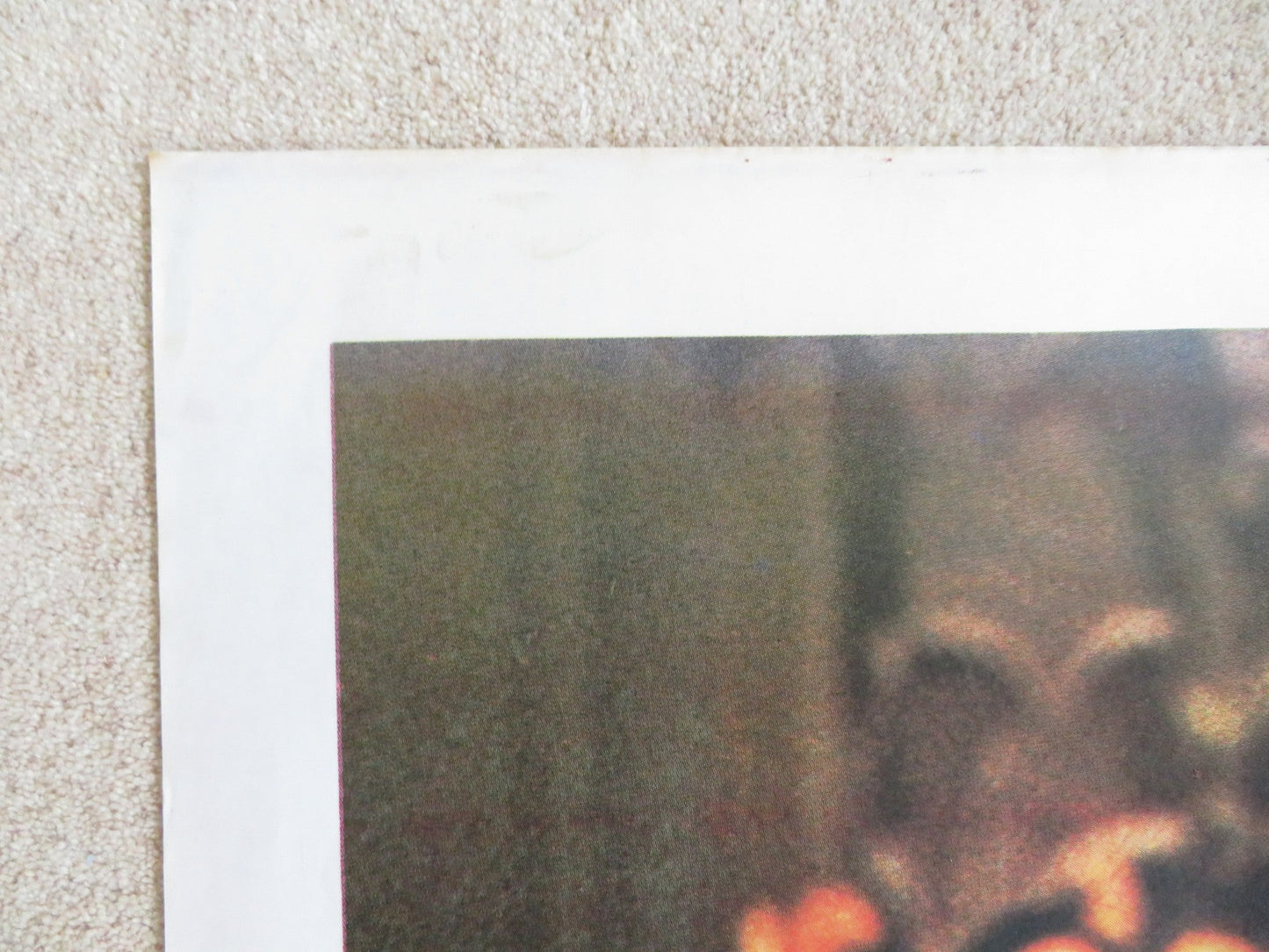 THE IDOLMAKER ITALIAN 2 FOGLIO POSTER RAY SHARKEY TOVAH FELDSHUH 1980 Rendezvous Cinema Movie posters