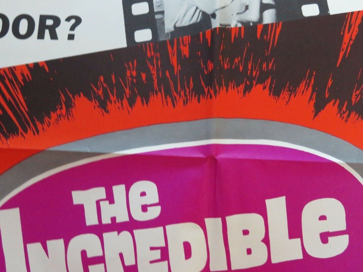 THE INCREDIBLE SEX REVOLUTION US ONE SHEET POSTER DR. GLADDN 1965 - Rendezvous Cinema