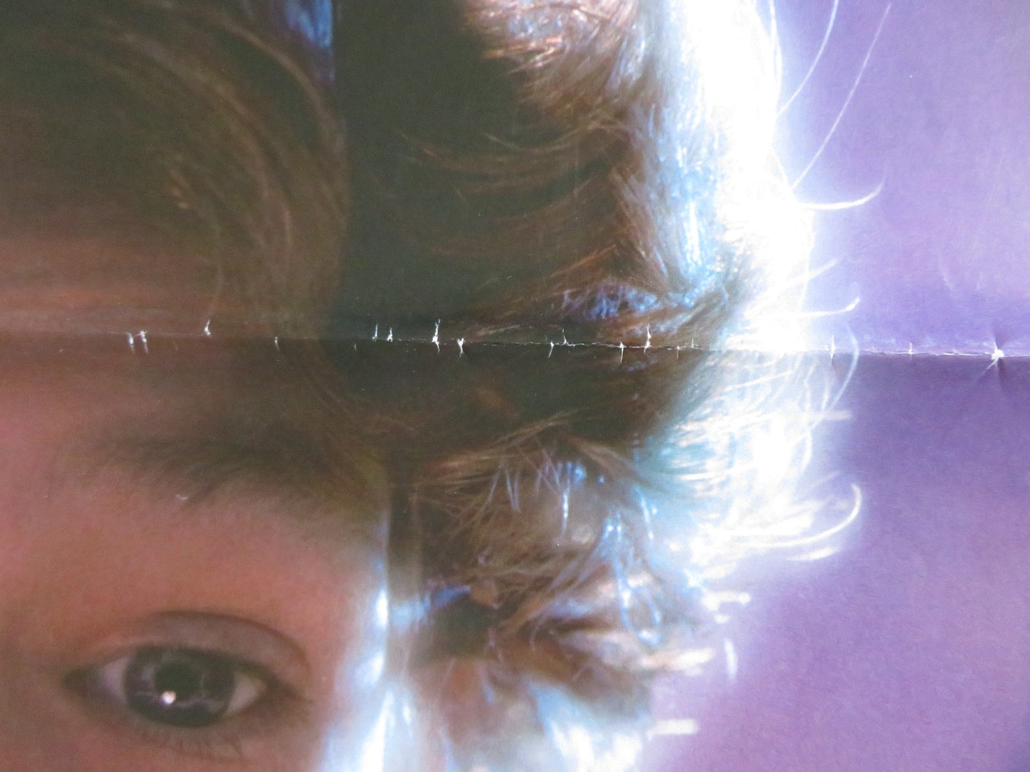 THE INDIAN IN THE CUPBOARD FOLDED US ONE SHEET POSTER HAL SCARDINO LITEFOOT 1995 Rendezvous Cinema Movie posters